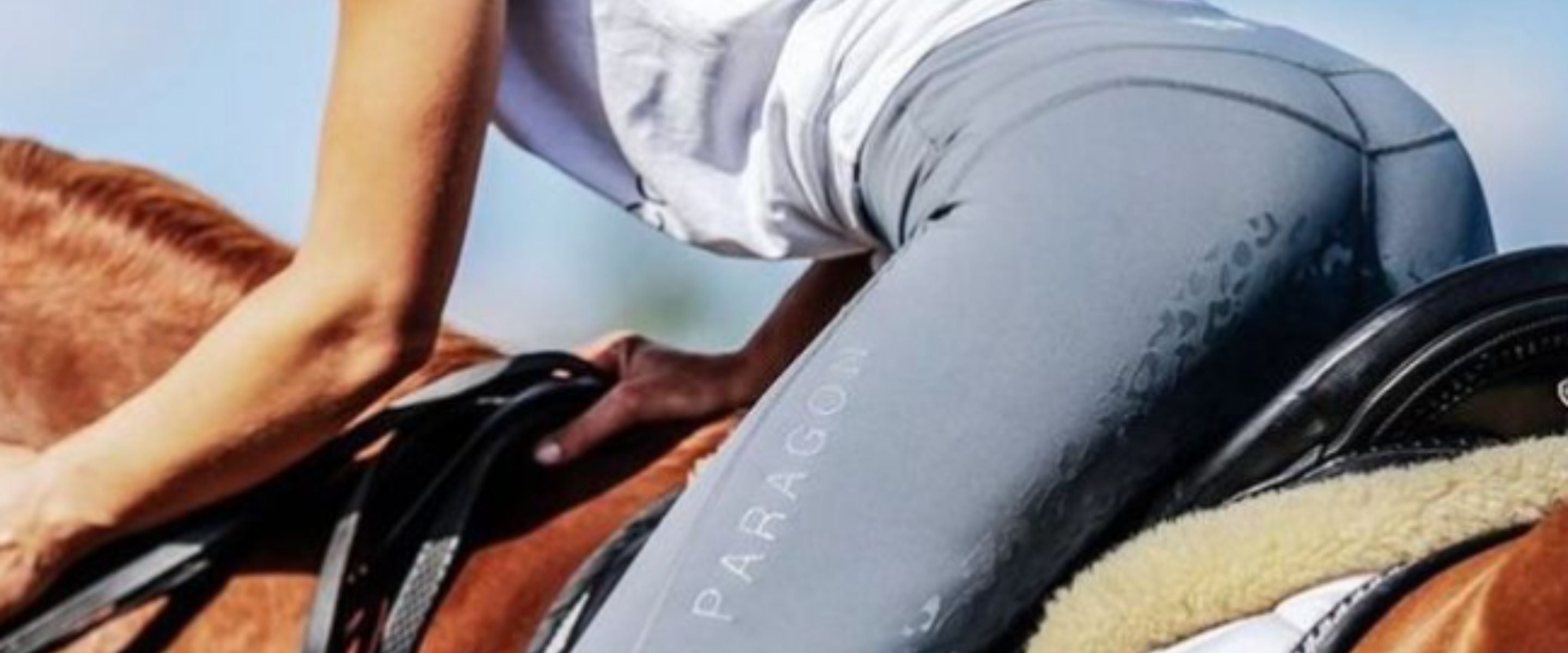 EQUESTRIAN-CLOTHING-BLUE-ASSOCIATES-SPORTSWEAR.jpg