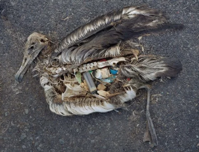 The Big Problem with Using Recycled Polyester in Sportswear