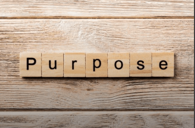 How to Develop the Best Brand Strategy for your Start-Up