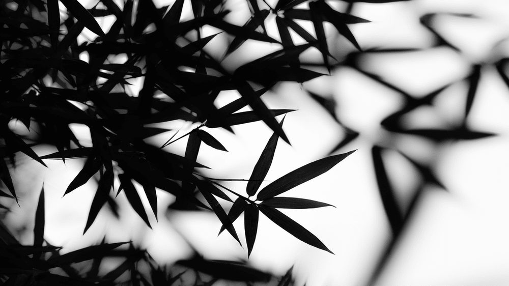 How to Make Sustainable Sportswear