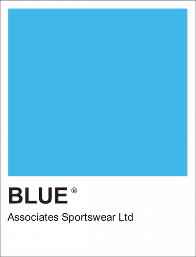 Blue associates sportswear logo