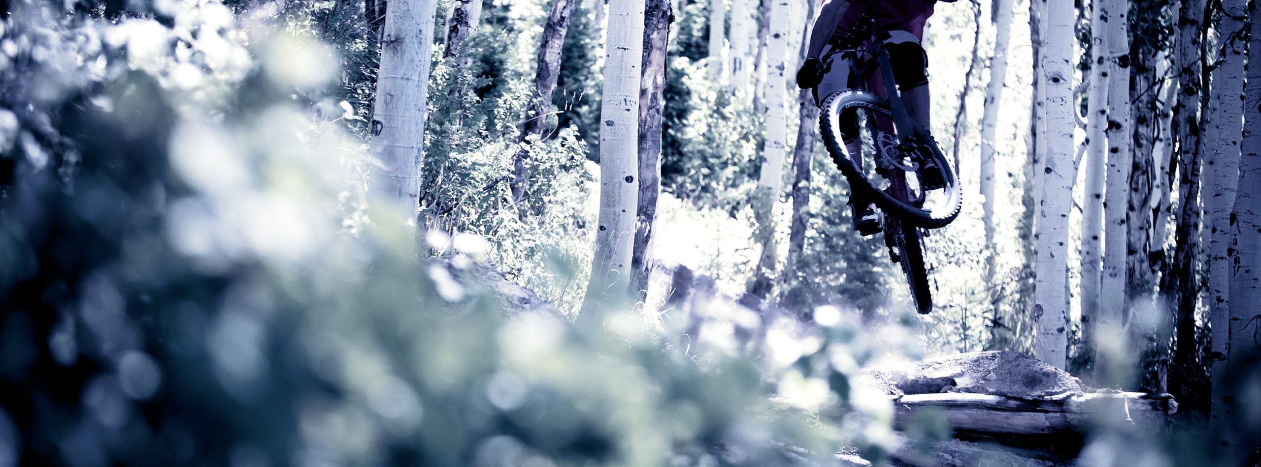 Blue Associates review